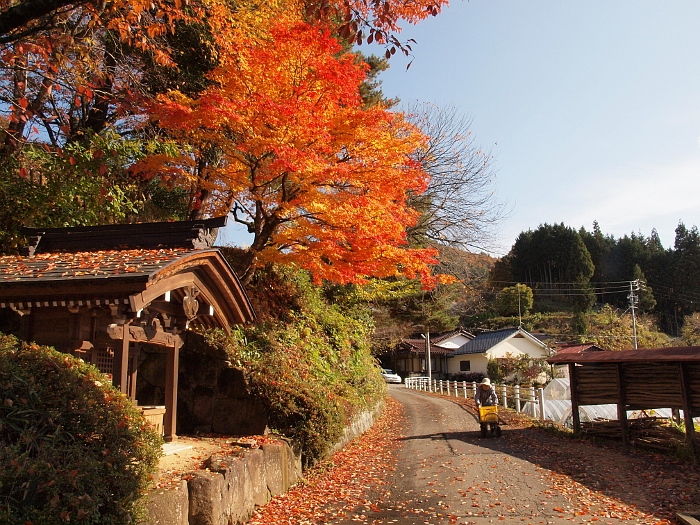 写真拡大