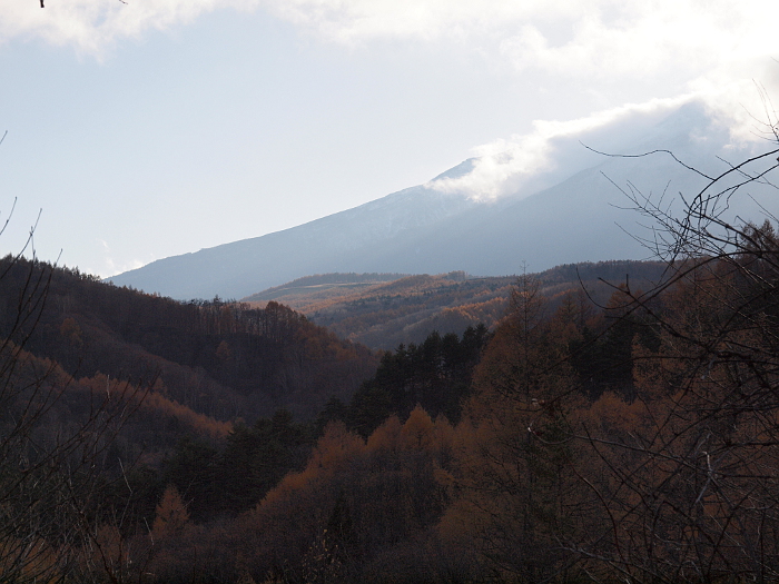 写真拡大