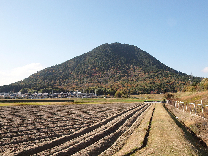 写真拡大