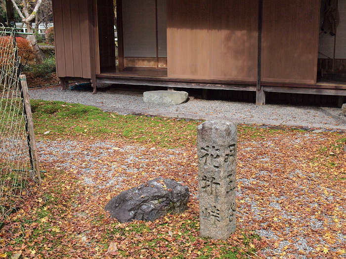 写真拡大