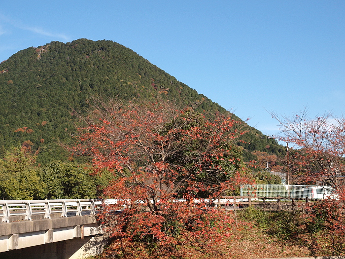 写真拡大