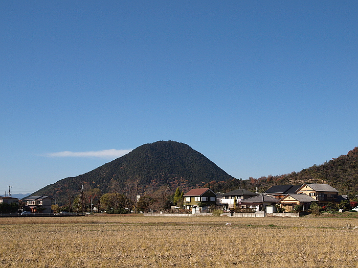 写真拡大