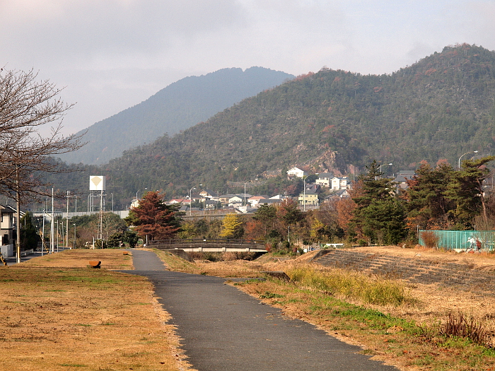 写真拡大