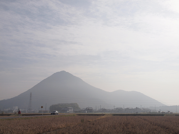 写真拡大