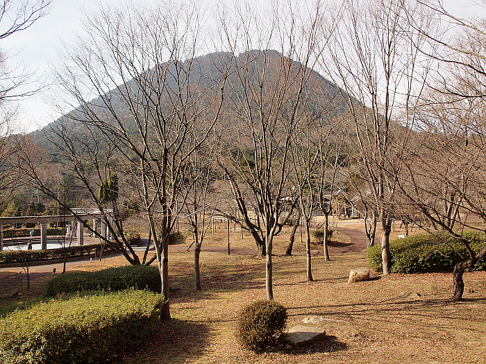写真拡大