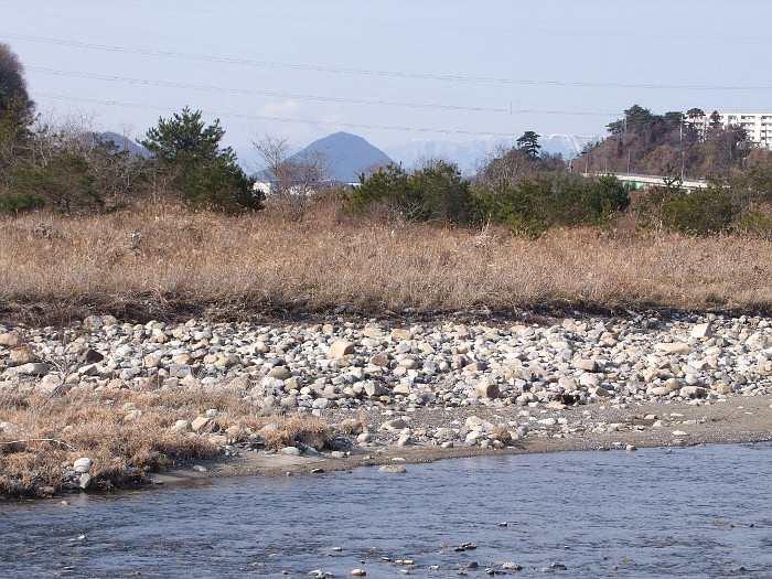 写真拡大