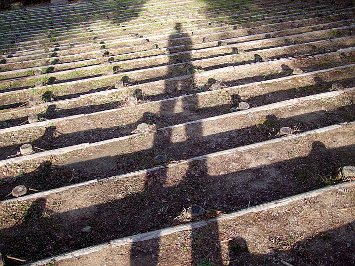 写真拡大