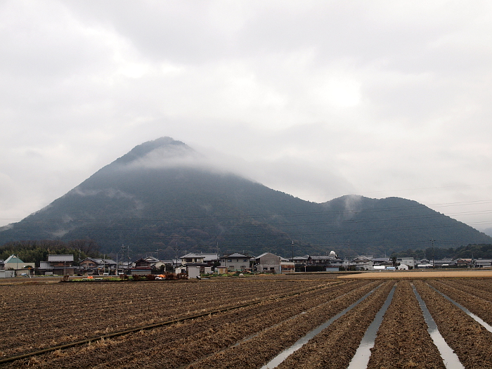 写真拡大