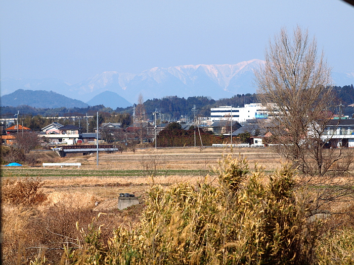 写真拡大