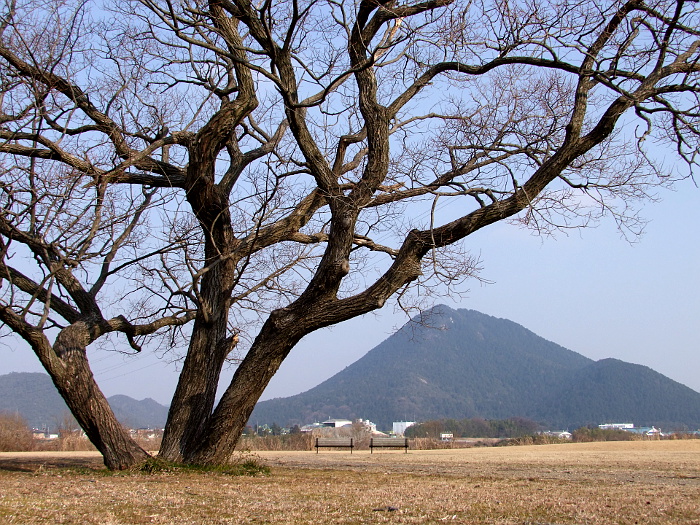 写真拡大