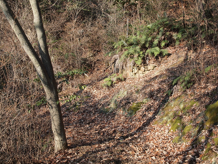 写真拡大