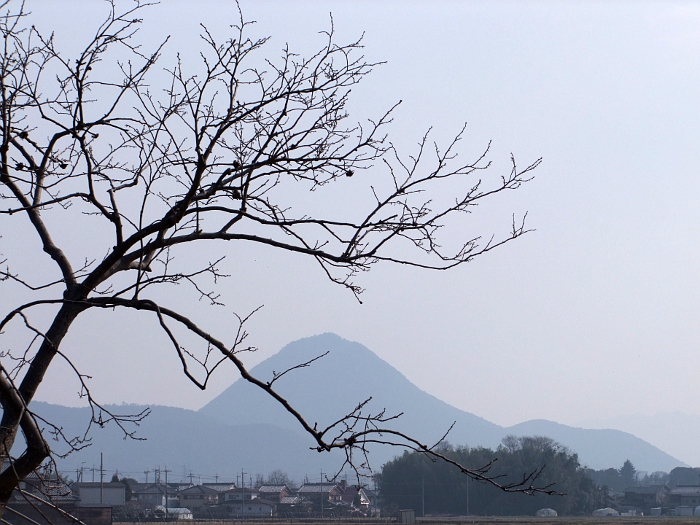 写真拡大