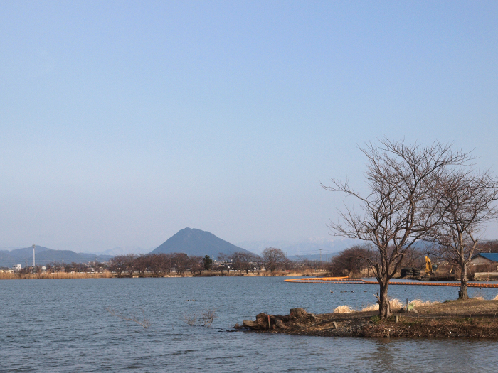 写真拡大