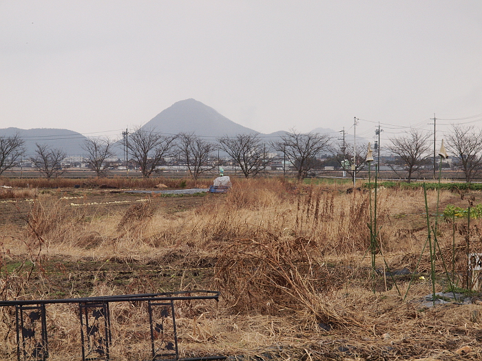 写真拡大