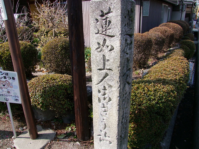 写真拡大