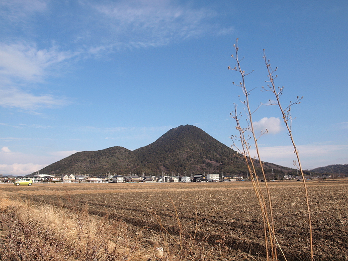 写真拡大