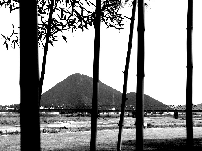 写真拡大