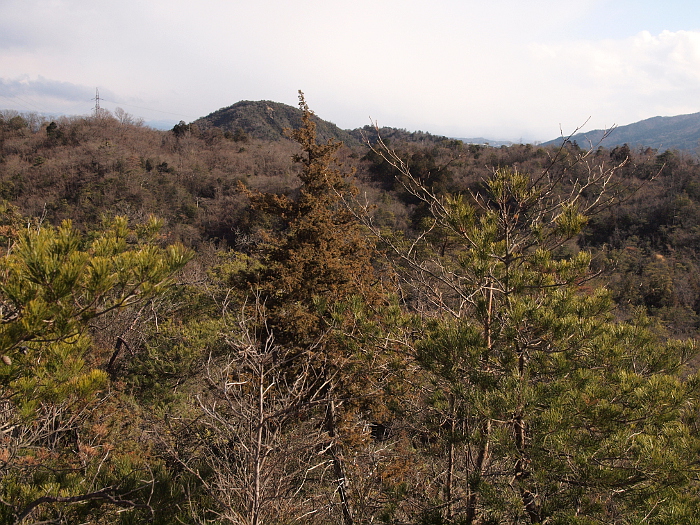 写真拡大