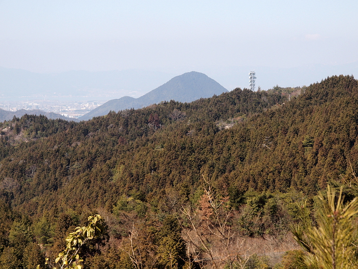 写真拡大
