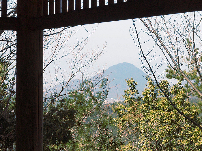 写真拡大