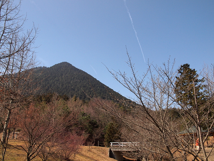 写真拡大
