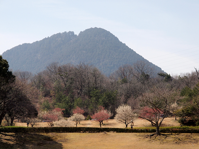 写真拡大