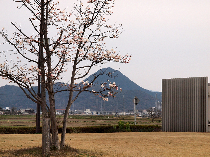 写真拡大