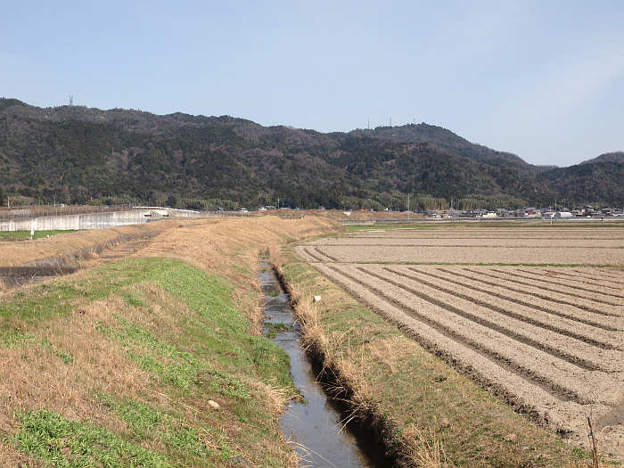 写真拡大