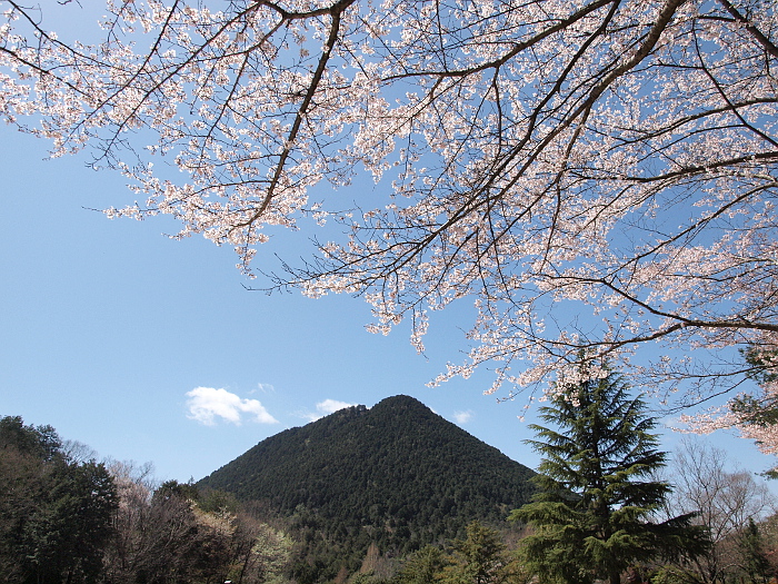 写真拡大