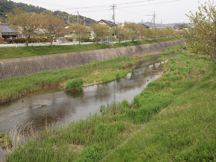 写真拡大