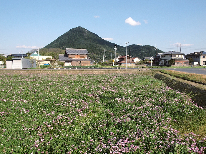 写真拡大