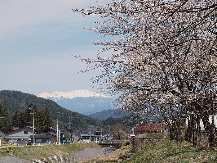 写真拡大