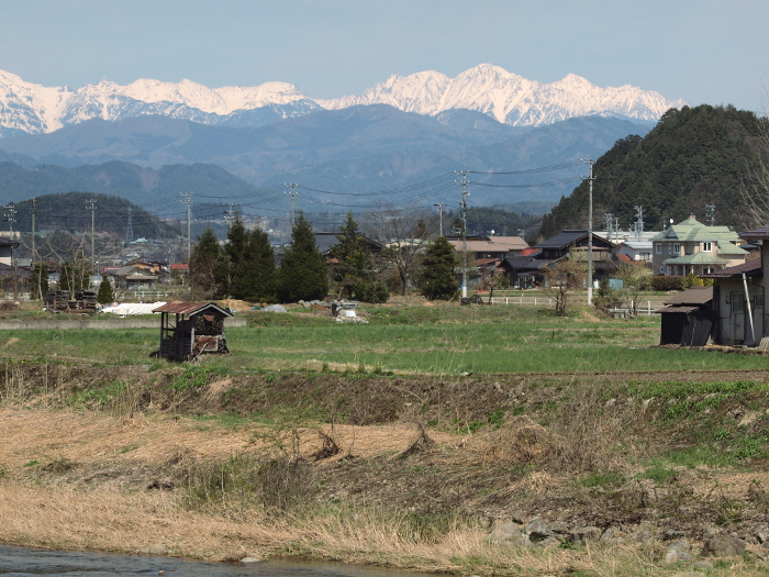 写真拡大