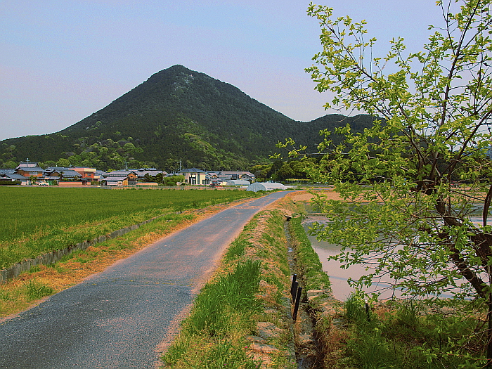 写真拡大