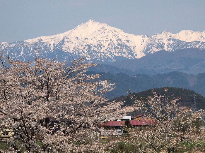 写真拡大