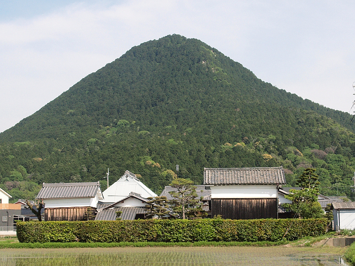 写真拡大