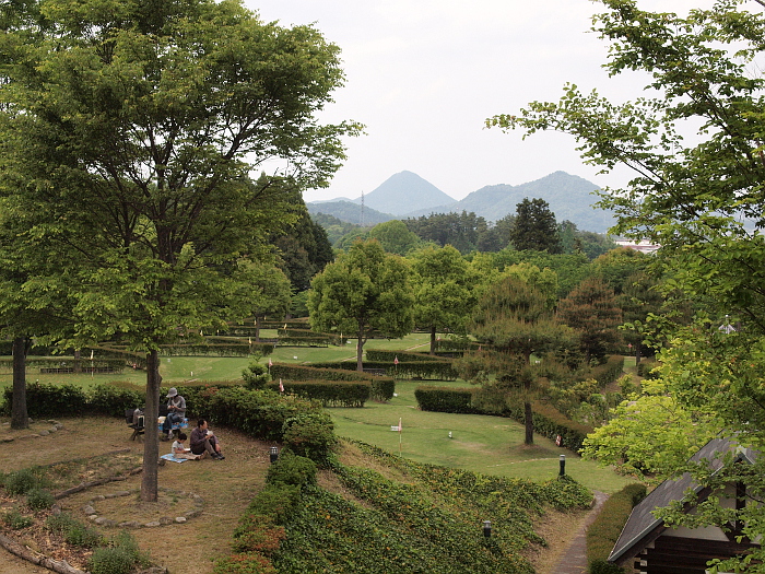写真拡大
