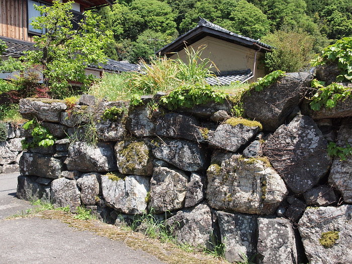 写真拡大
