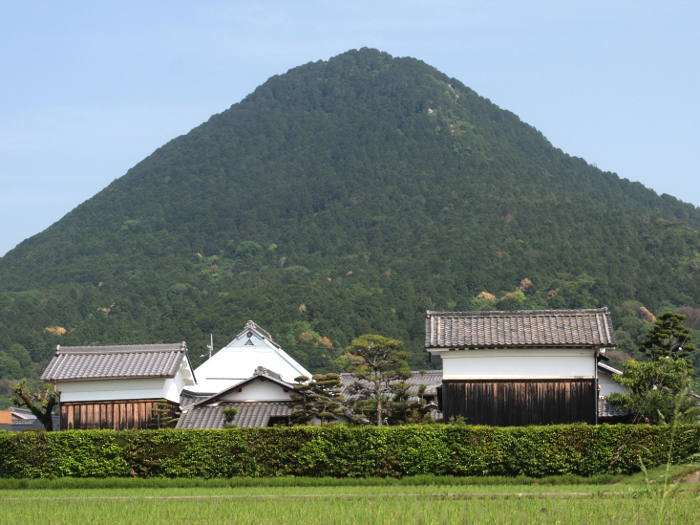 写真拡大