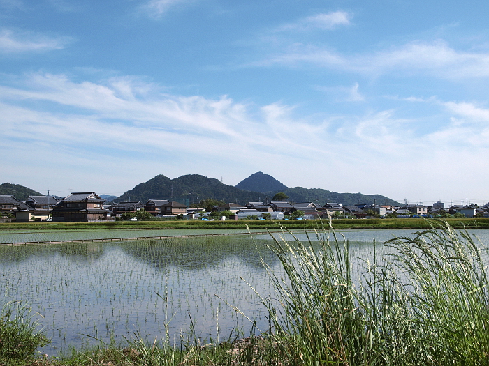 写真拡大