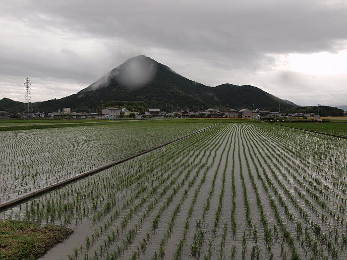 写真拡大