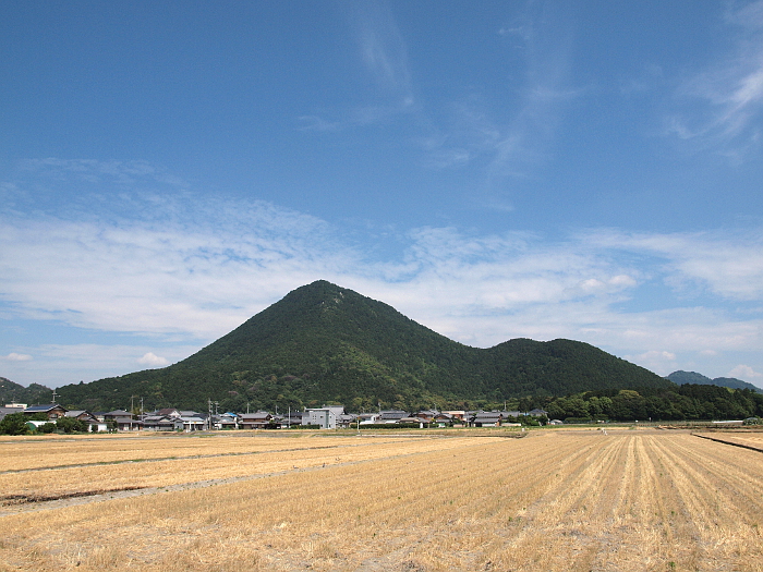 写真拡大