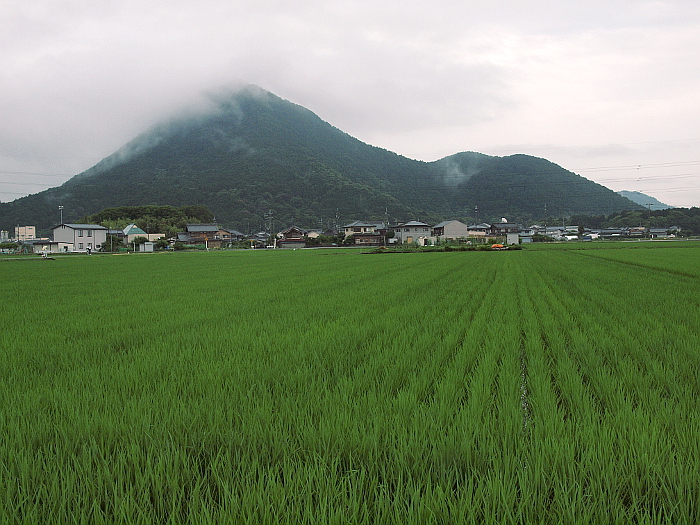 写真拡大
