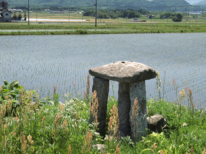 写真拡大