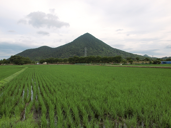 写真拡大