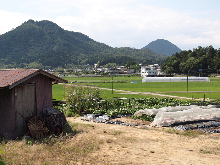 写真拡大
