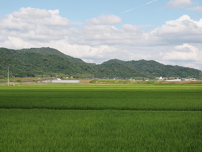 写真拡大
