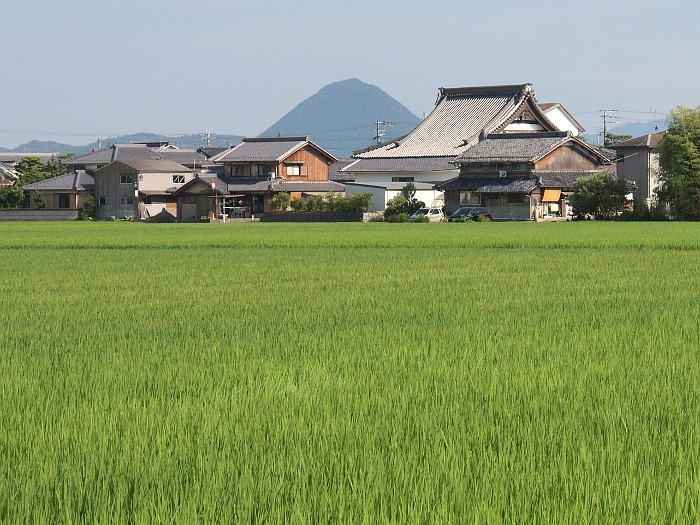 写真拡大