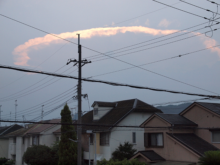 写真拡大