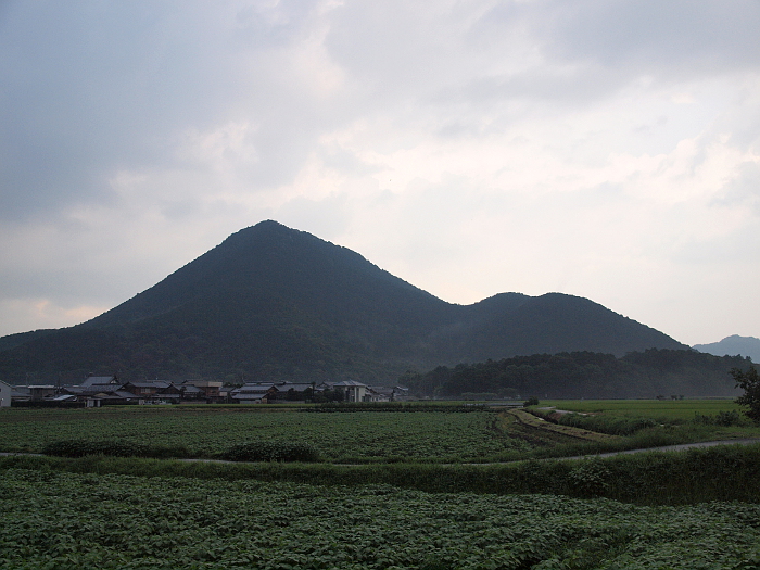 写真拡大
